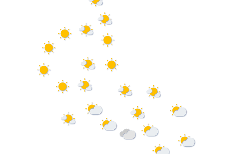 Forecast