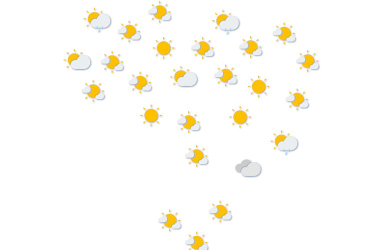 Forecast