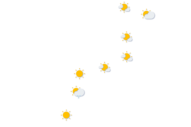 Forecast