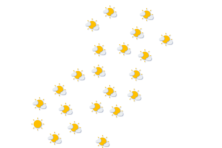 Forecast