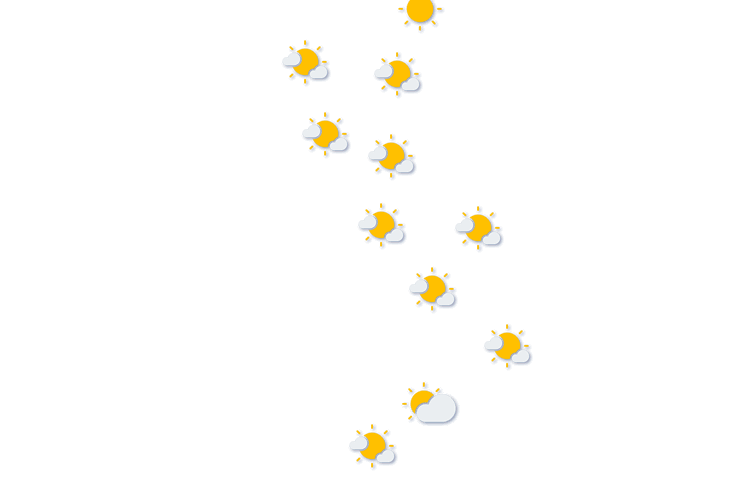 Forecast