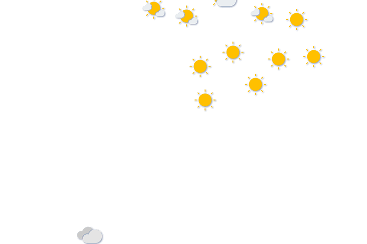 Forecast