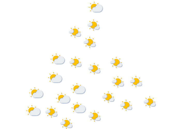 Forecast