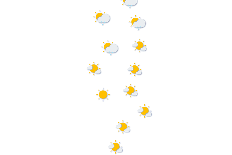 Forecast