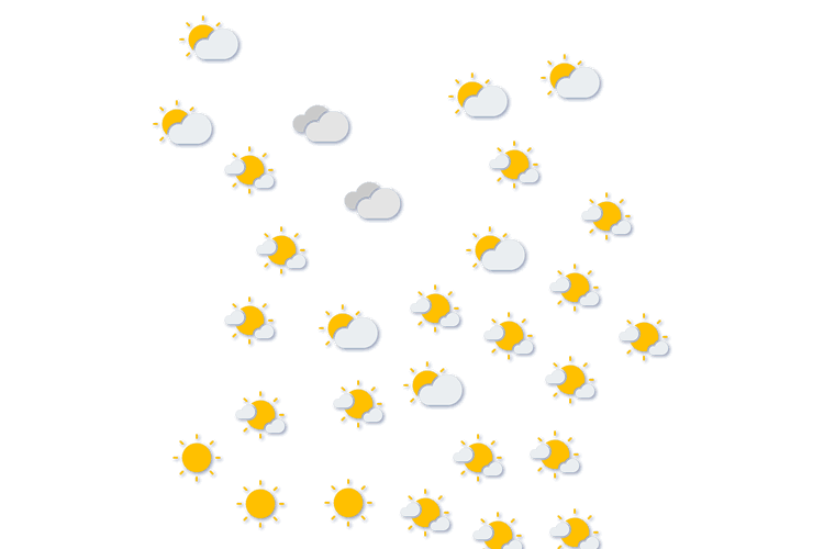 Forecast