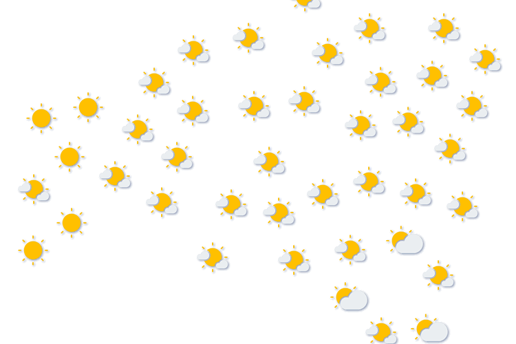 Forecast