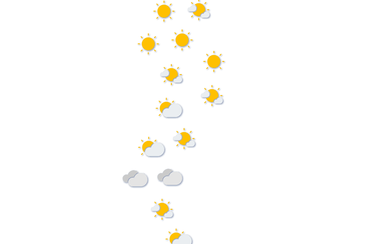 Forecast