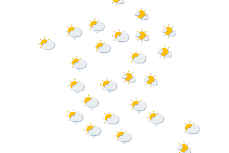 Forecast