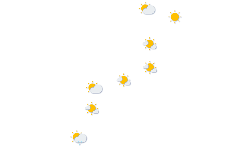 Forecast