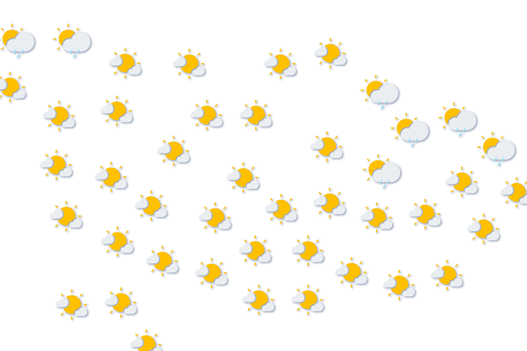 Forecast