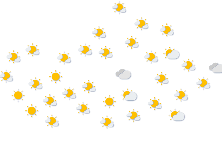 Forecast