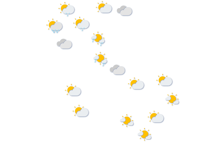 Forecast