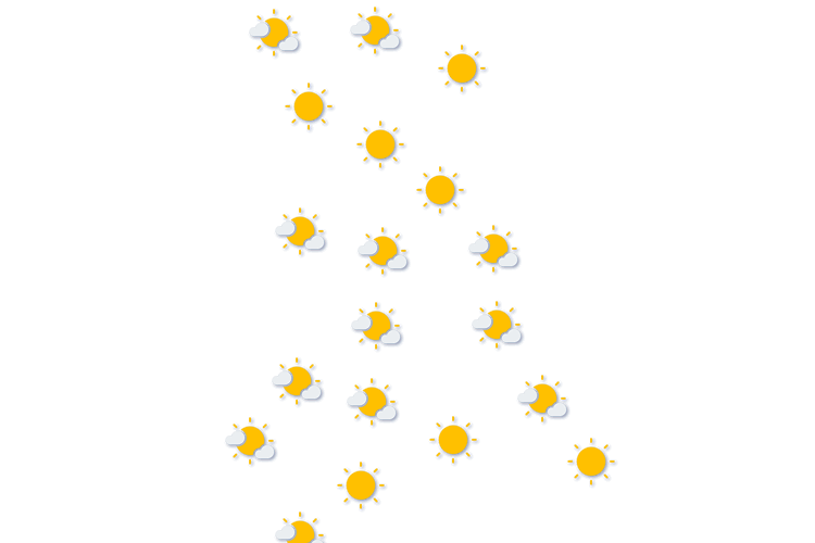 Forecast