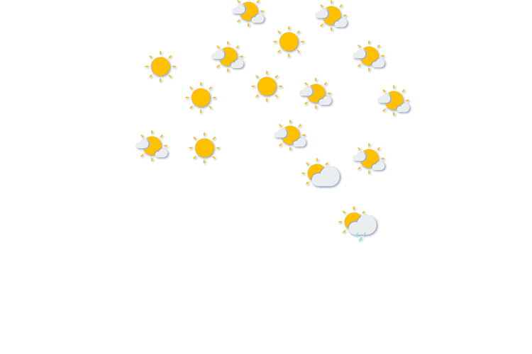 Forecast