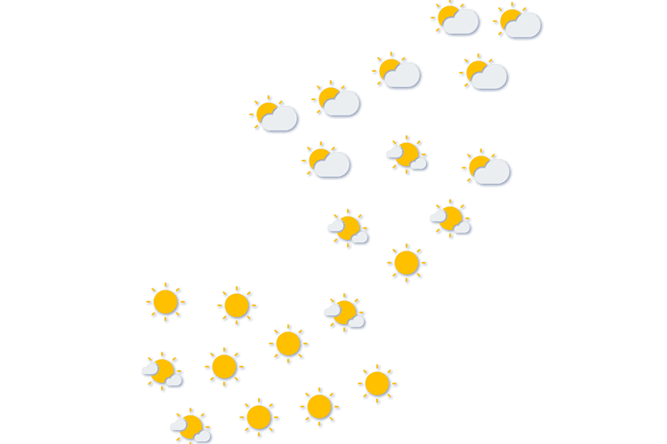 Forecast