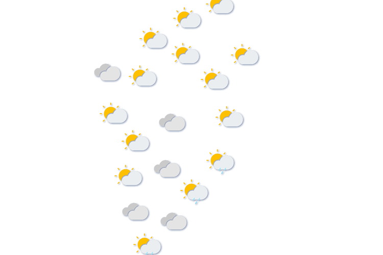 Forecast