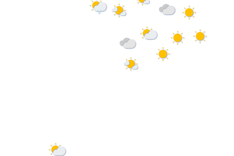 Forecast