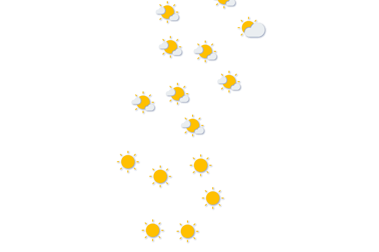 Forecast