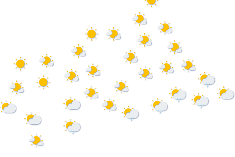 Forecast