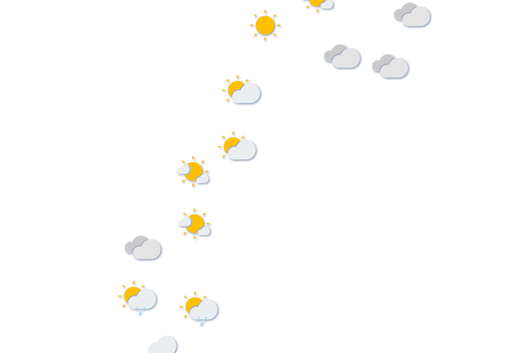 Forecast