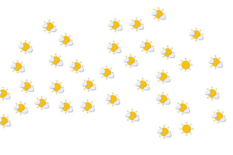 Forecast