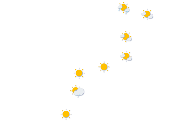 Forecast