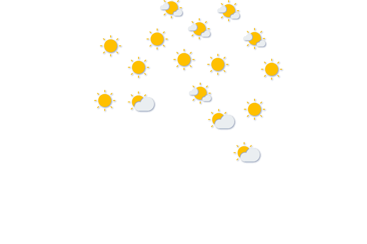Forecast