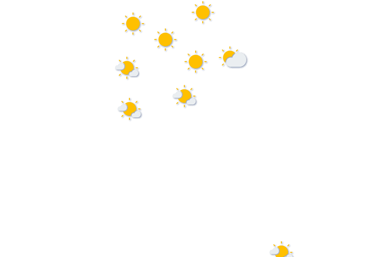 Forecast
