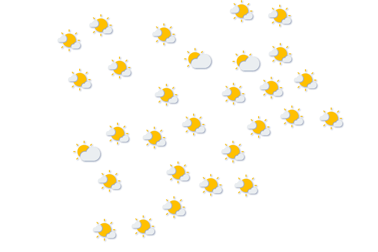 Forecast