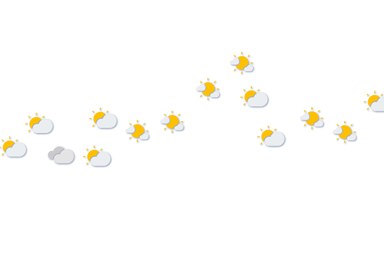 Forecast