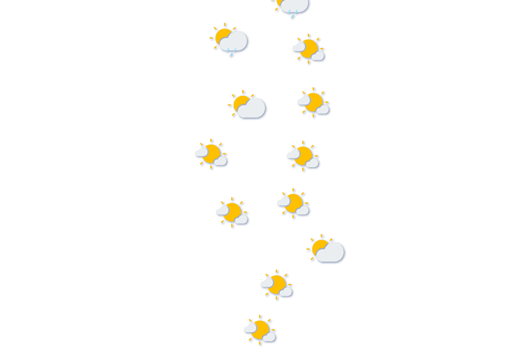 Forecast