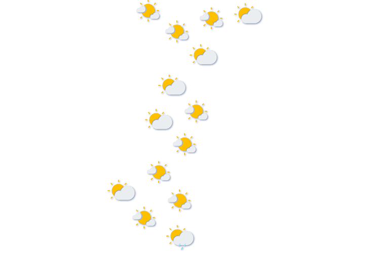 Forecast