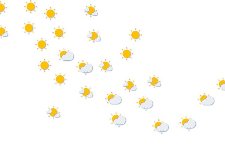 Forecast