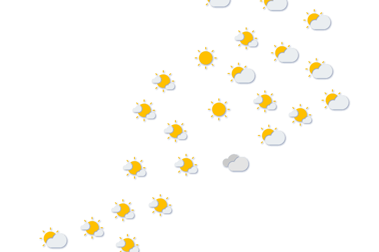 Forecast
