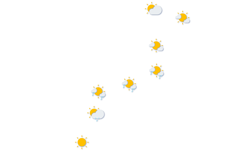 Forecast