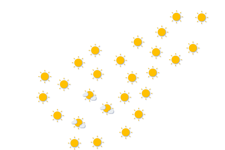 Forecast