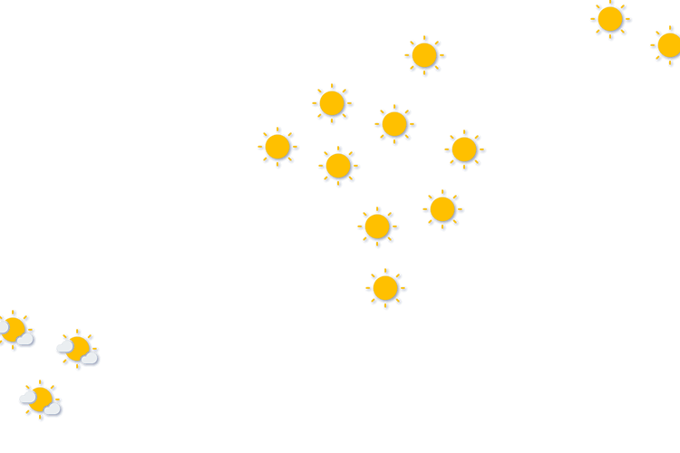 Forecast