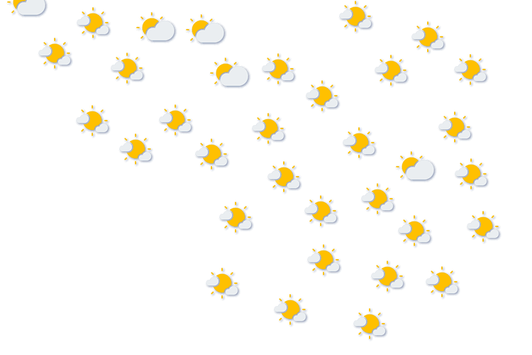 Forecast
