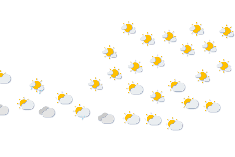Forecast