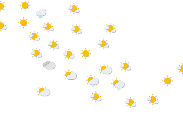 Forecast