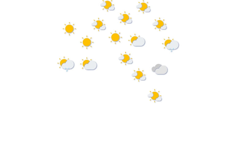 Forecast