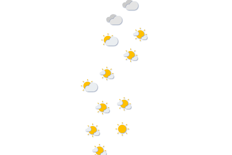 Forecast