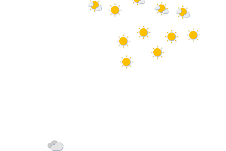 Forecast