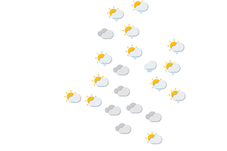 Forecast