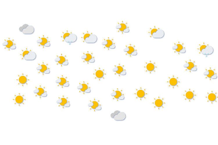 Forecast