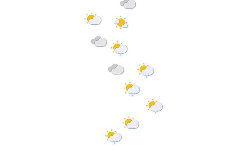 Forecast