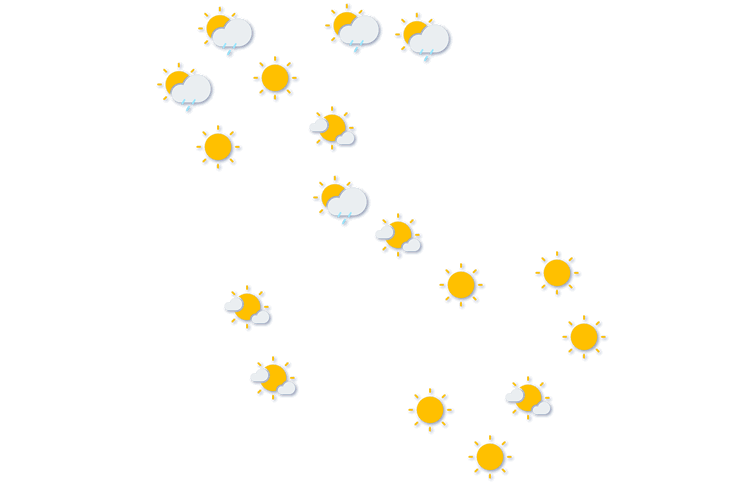 Forecast