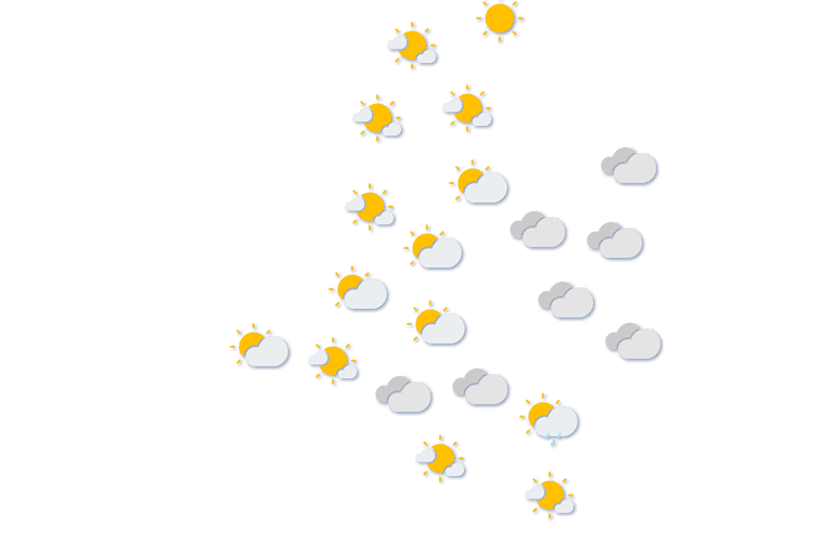 Forecast
