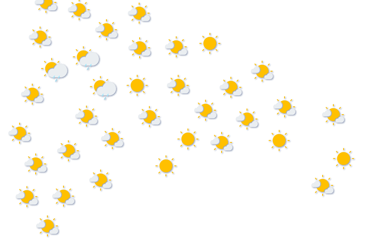 Forecast