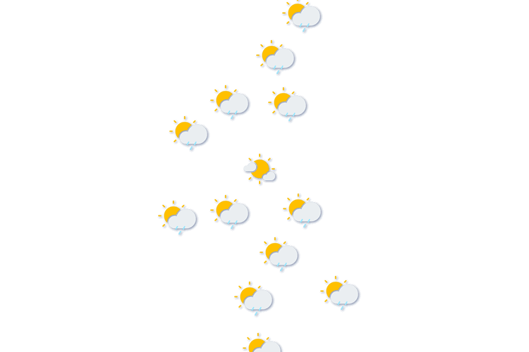 Forecast